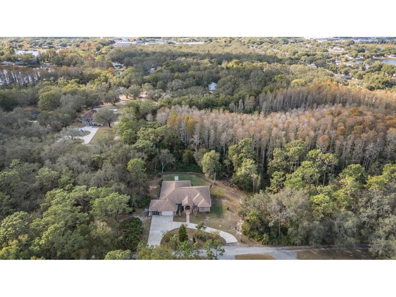 1925 Schaer Way Odessa FL 33556 TB8456584 image44