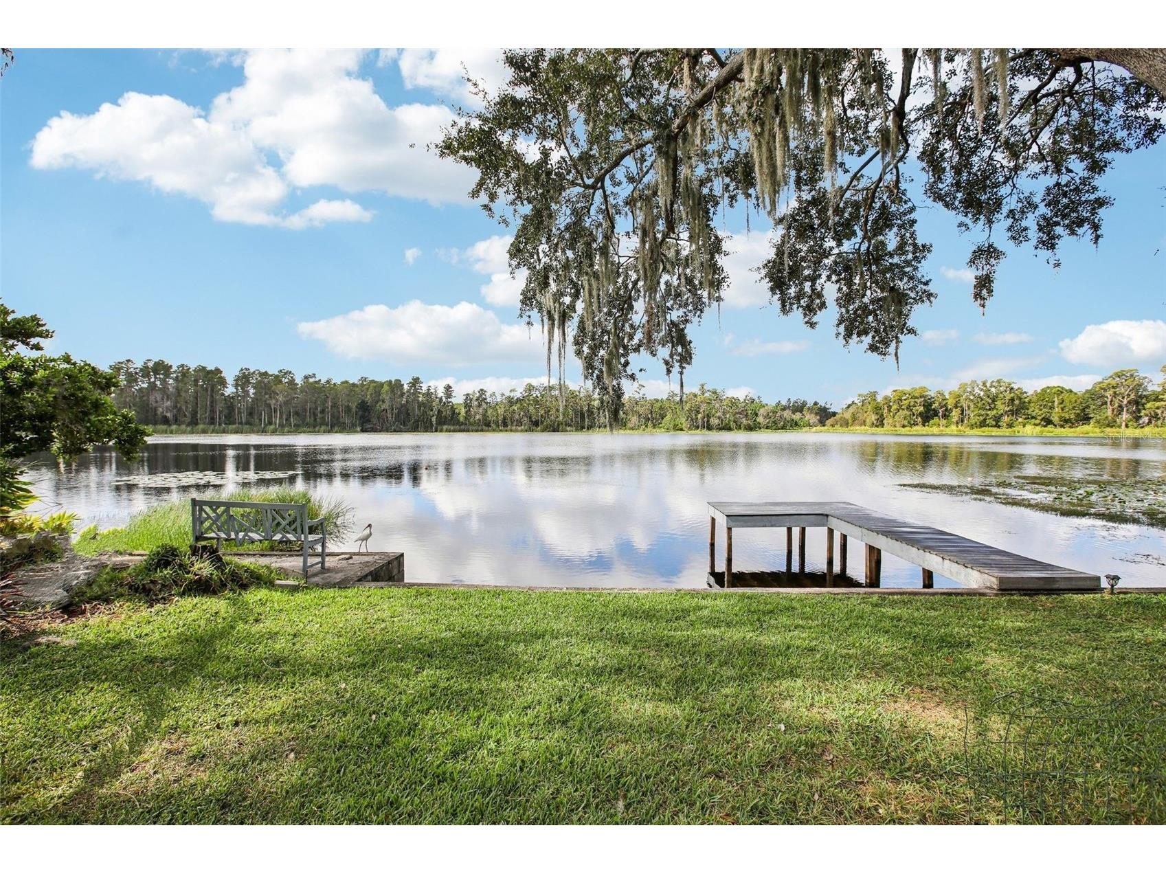 19254 Blount Road Lutz FL 33558 - LAKE VIRGINIA TB8504730 image1