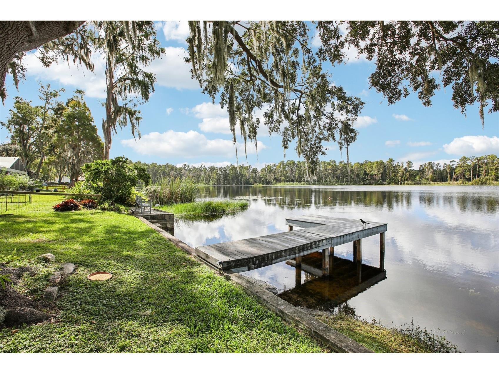 19254 Blount Road Lutz FL 33558 - LAKE VIRGINIA TB8504730 image30