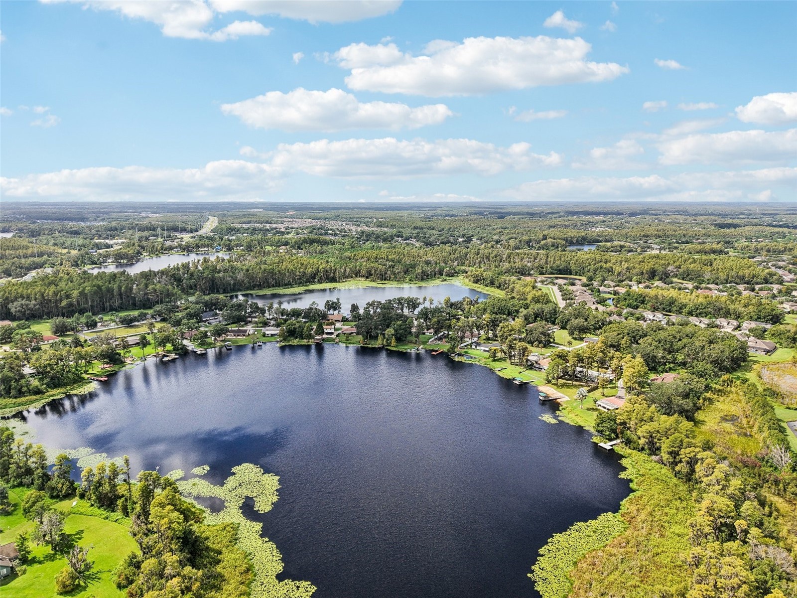 19254 Blount Road Lutz FL 33558 - LAKE VIRGINIA TB8504730 image32