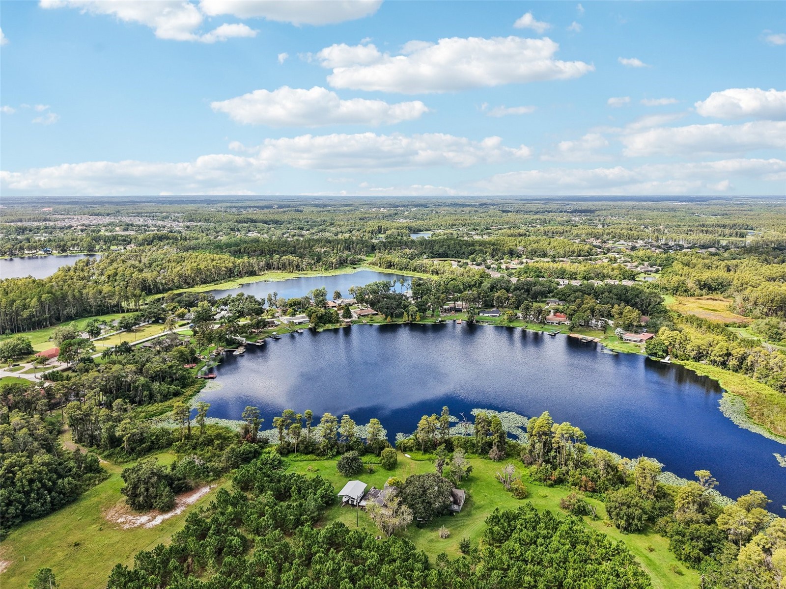 19254 Blount Road Lutz FL 33558 - LAKE VIRGINIA TB8504730 image34