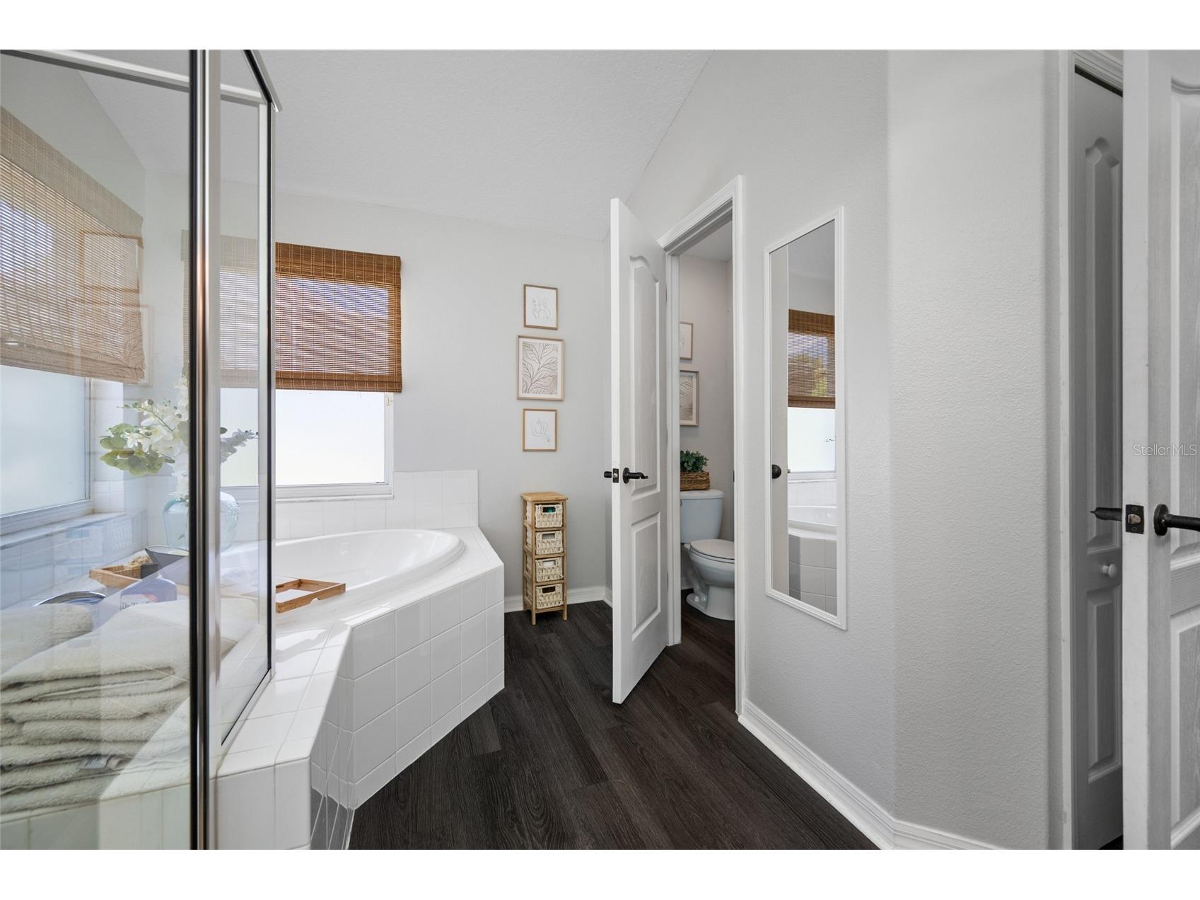 19254 Fishermans Bend Drive Lutz FL 33558 TB8500948 image11