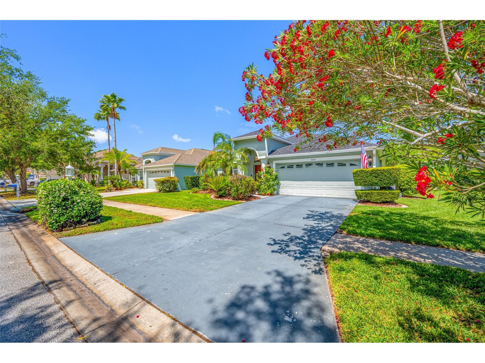19254 Fishermans Bend Drive Lutz FL 33558 TB8500948 image3