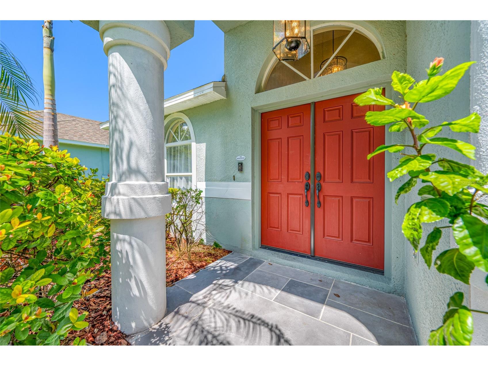 19254 Fishermans Bend Drive Lutz FL 33558 TB8500948 image4