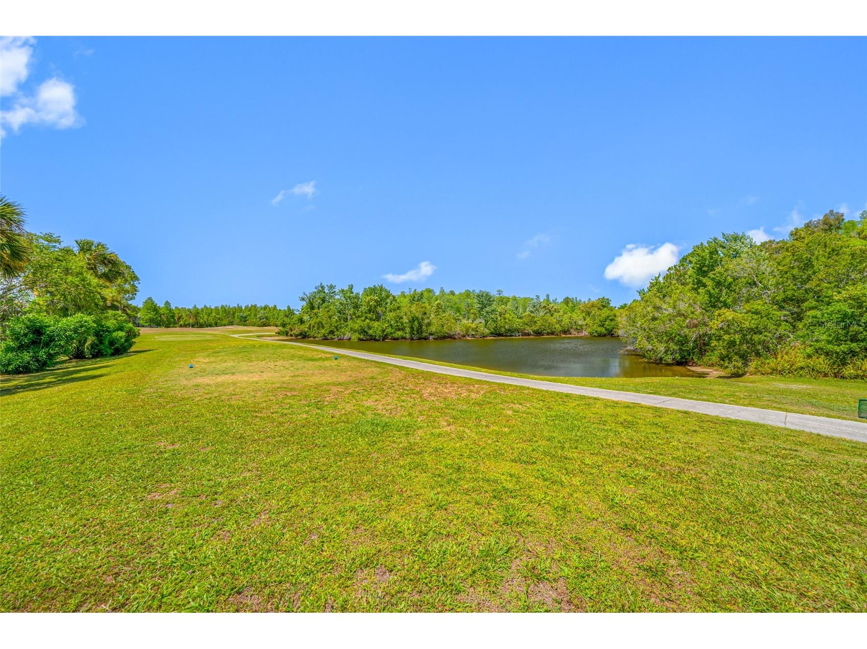 19254 Fishermans Bend Drive Lutz FL 33558 TB8500948 image45