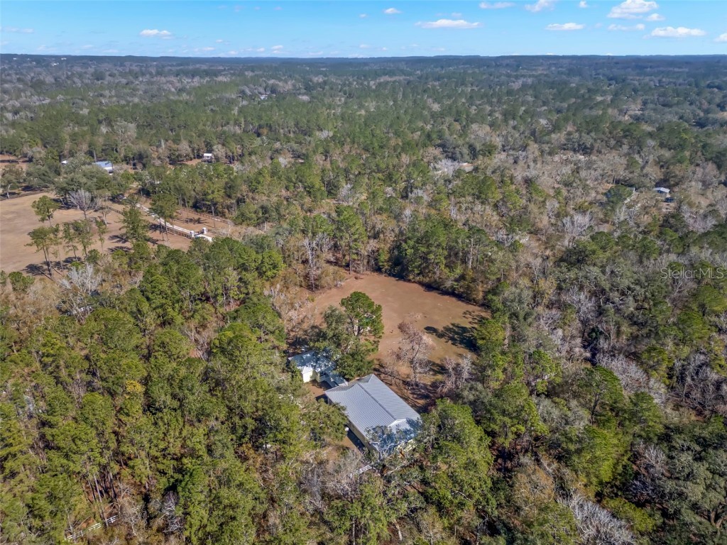 19256 Hidden Oaks Drive Brooksville FL 34604 TB8344502 image66