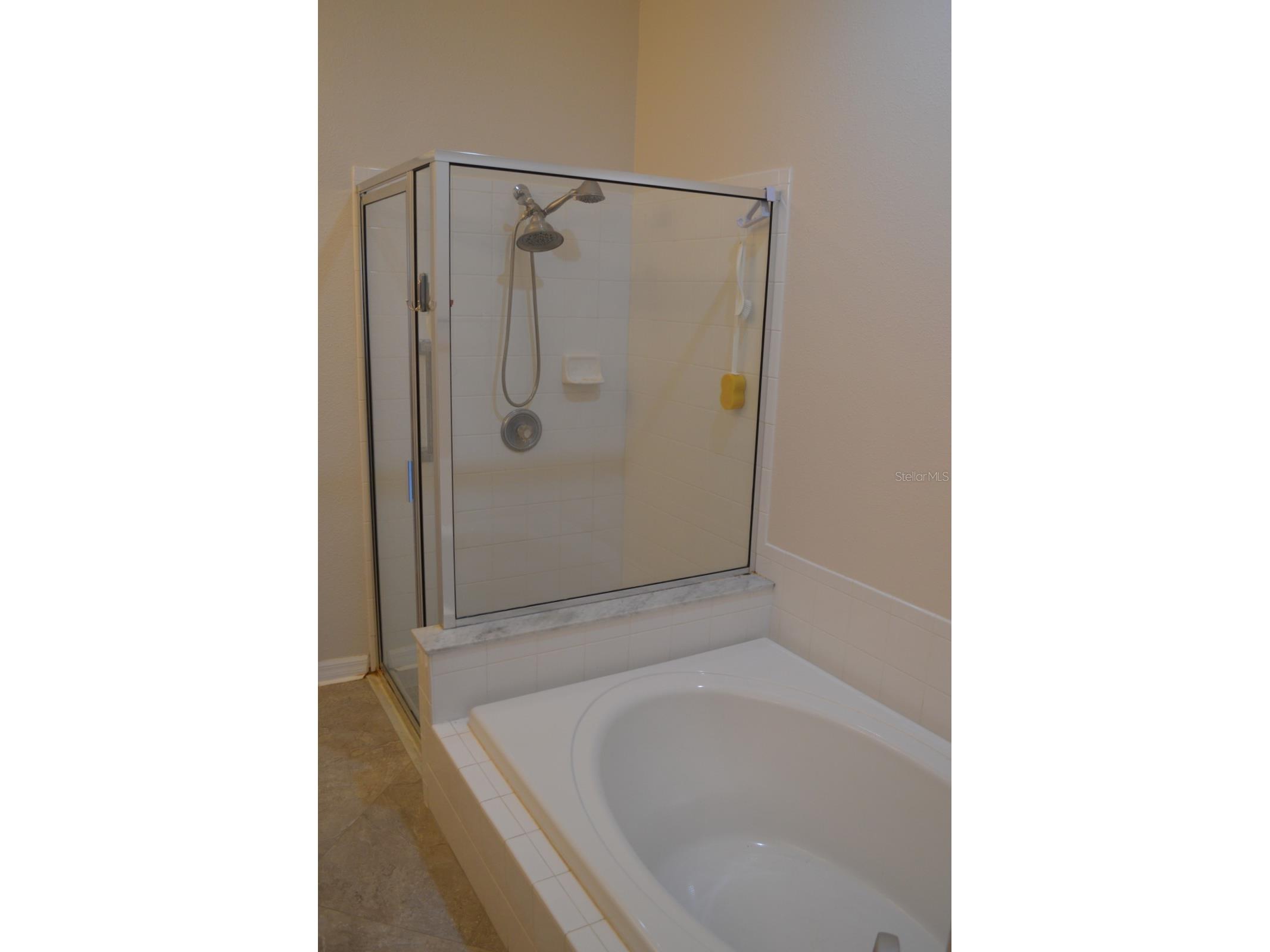 1926 Sassafras Drive Wesley Chapel FL 33543 TB8521951 image11