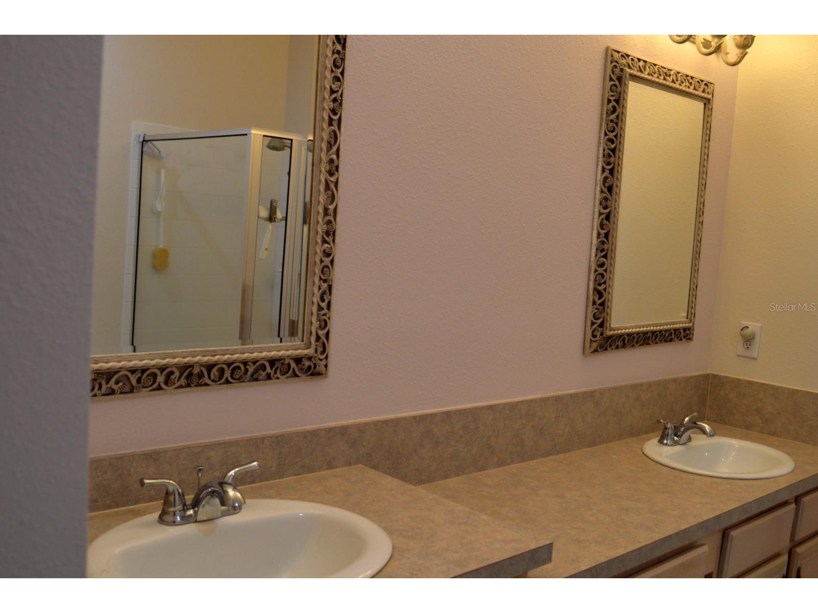 1926 Sassafras Drive Wesley Chapel FL 33543 TB8521951 image12