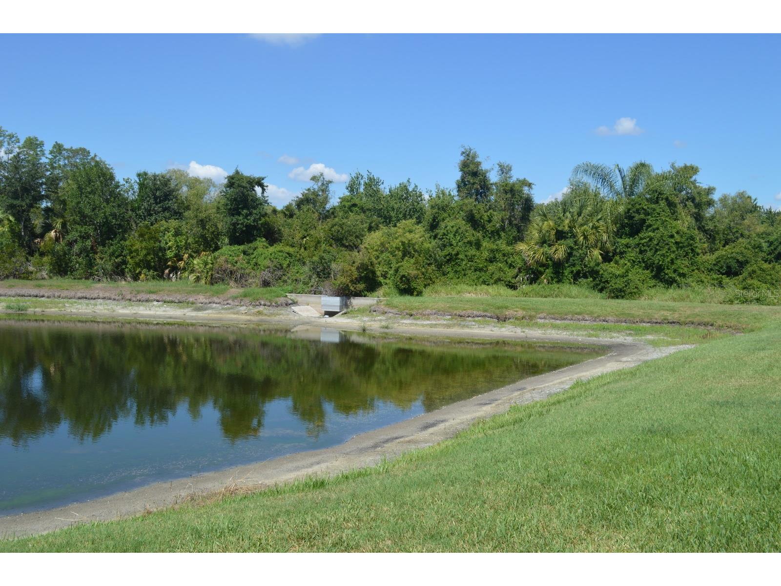 1926 Sassafras Drive Wesley Chapel FL 33543 TB8521951 image18
