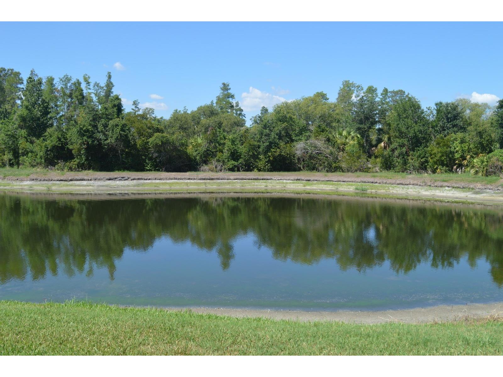 1926 Sassafras Drive Wesley Chapel FL 33543 TB8521951 image19