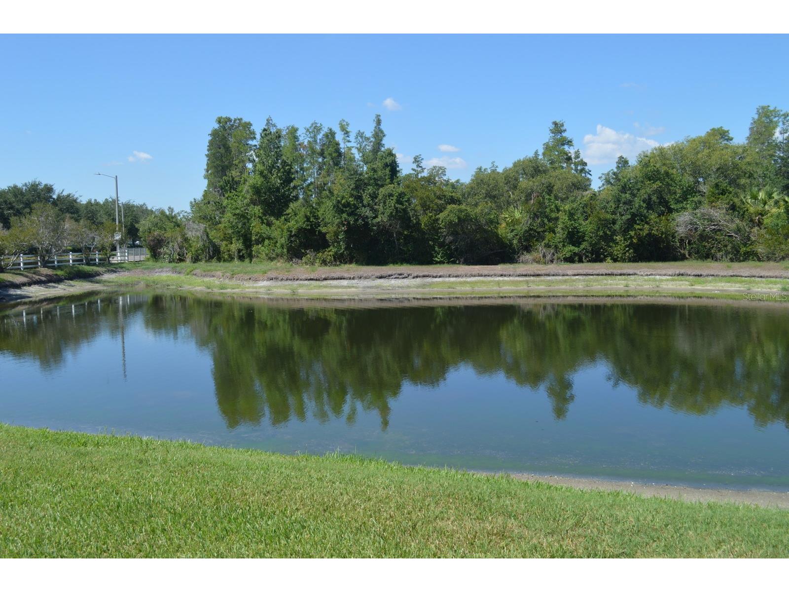 1926 Sassafras Drive Wesley Chapel FL 33543 TB8521951 image20