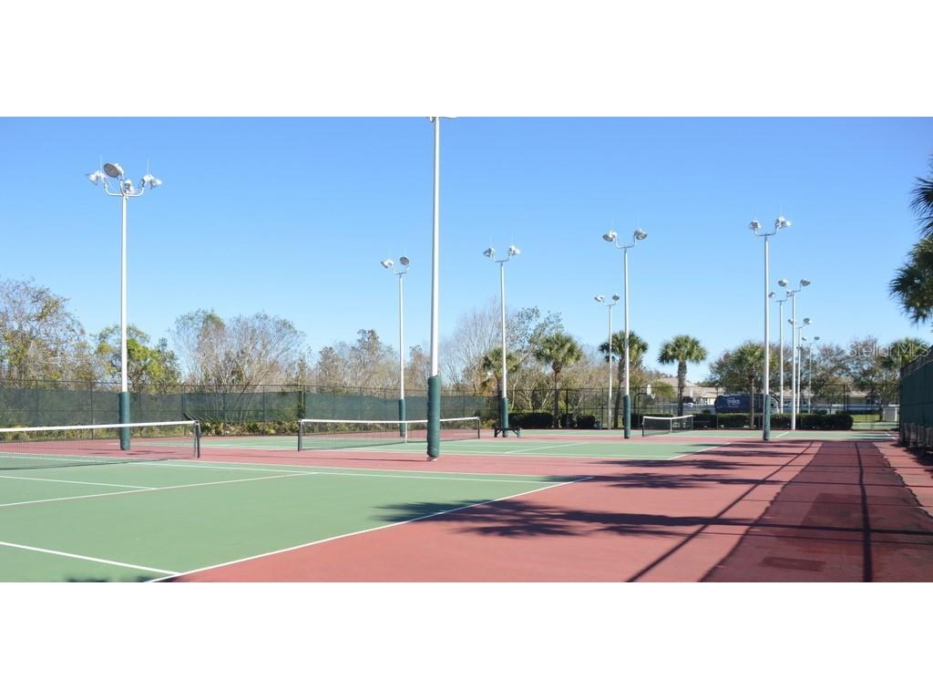 1926 Sassafras Drive Wesley Chapel FL 33543 TB8521951 image22