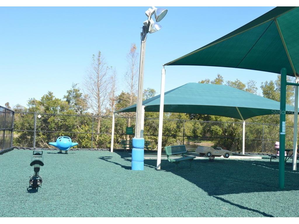 1926 Sassafras Drive Wesley Chapel FL 33543 TB8521951 image23