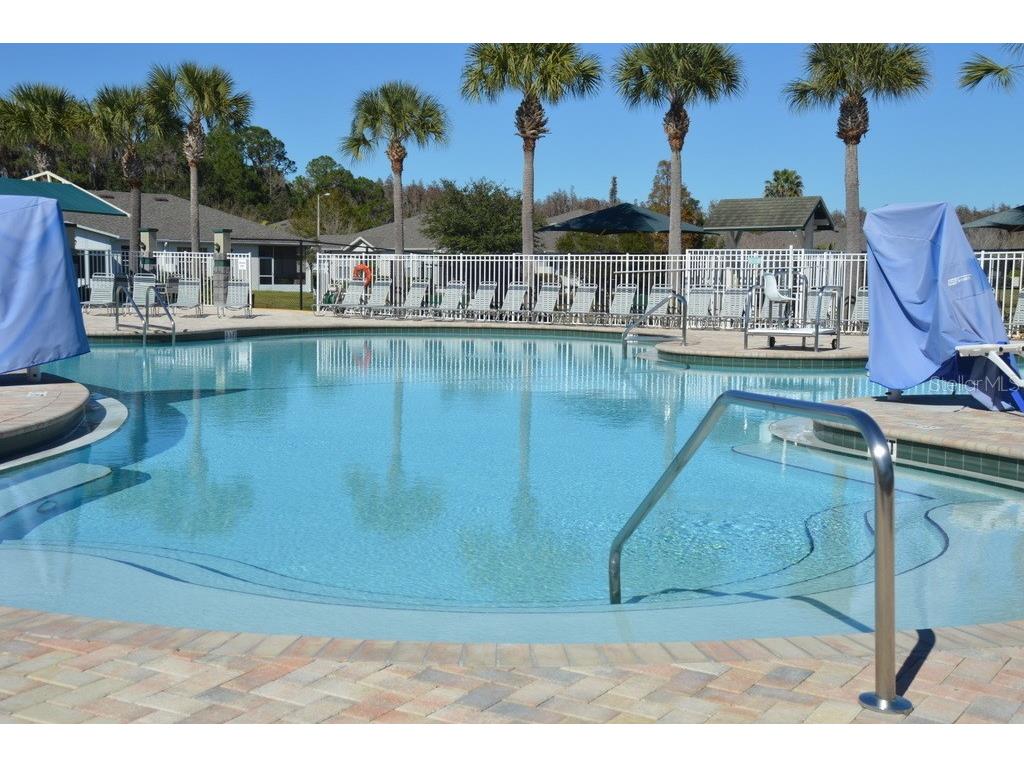 1926 Sassafras Drive Wesley Chapel FL 33543 TB8521951 image24