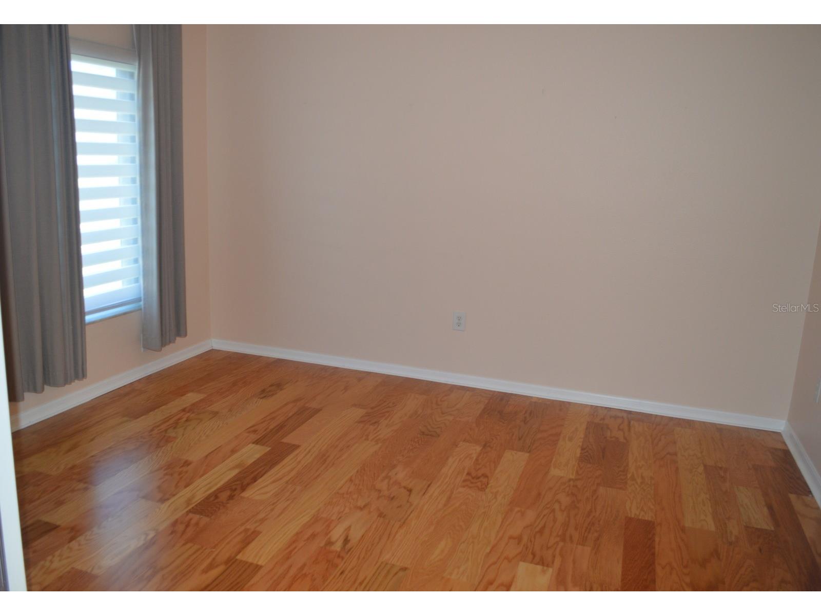 1926 Sassafras Drive Wesley Chapel FL 33543 TB8521951 image7