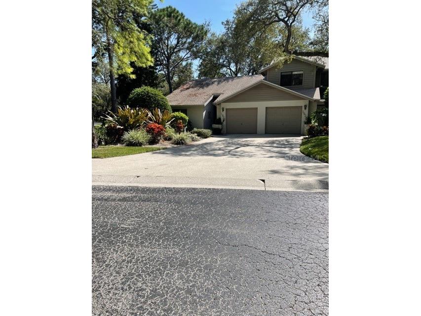 1926 Whispering Way Tarpon Springs FL 34689 TB8447968 image1