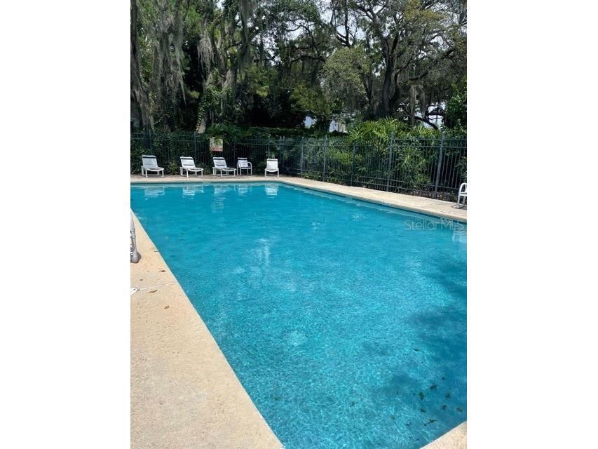 1926 Whispering Way Tarpon Springs FL 34689 TB8447968 image10