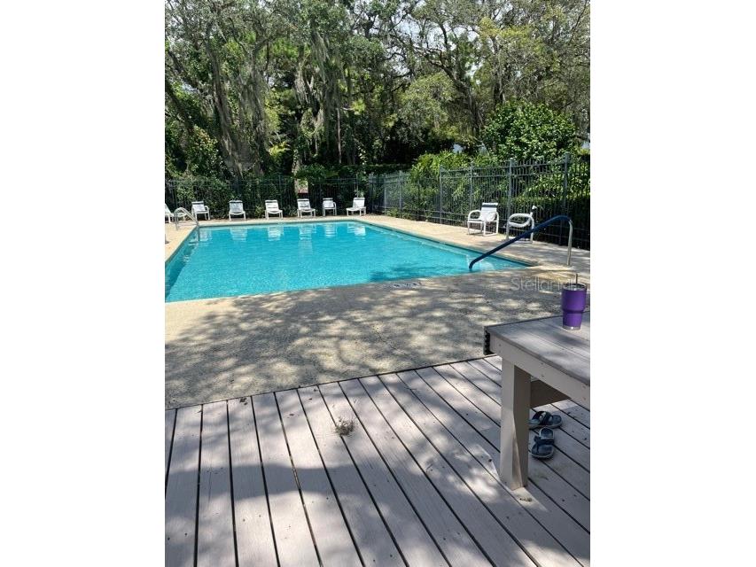 1926 Whispering Way Tarpon Springs FL 34689 TB8447968 image11