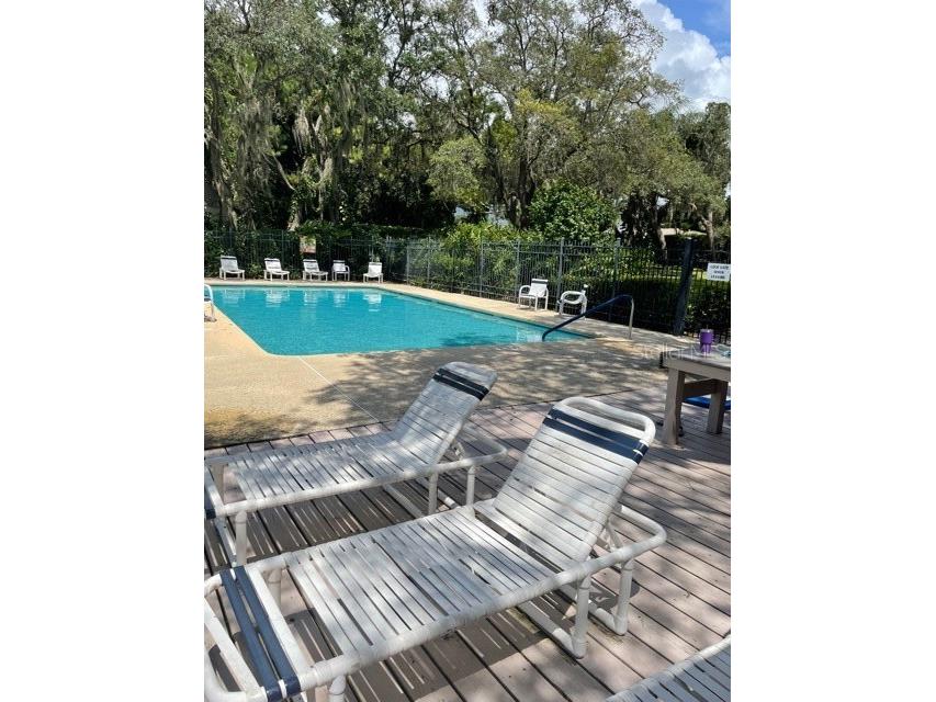 1926 Whispering Way Tarpon Springs FL 34689 TB8447968 image12