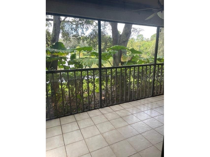 1926 Whispering Way Tarpon Springs FL 34689 TB8447968 image7