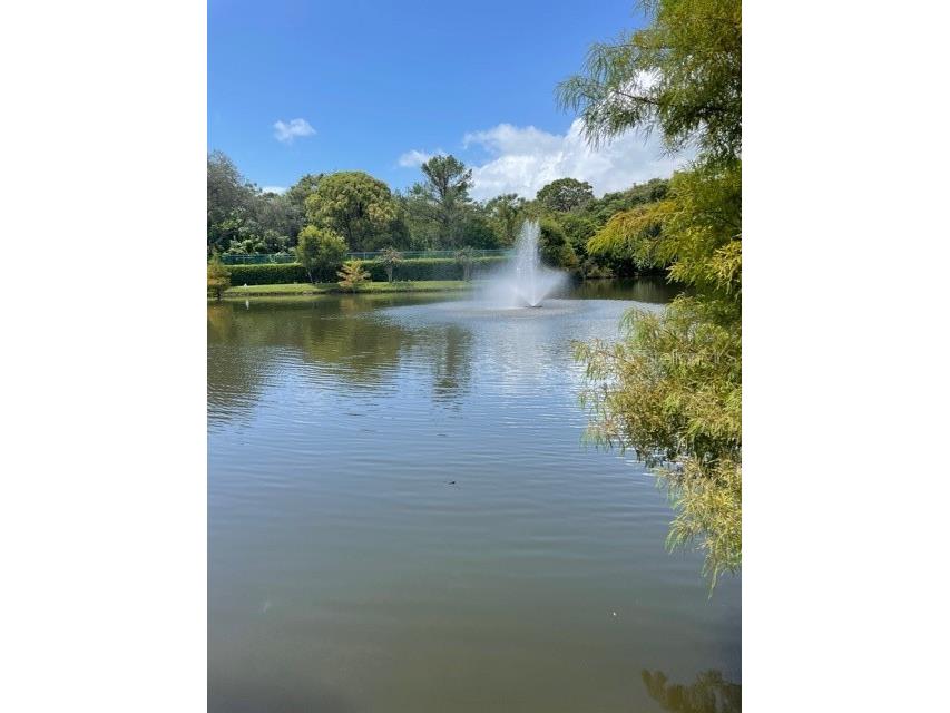 1926 Whispering Way Tarpon Springs FL 34689 TB8447968 image9