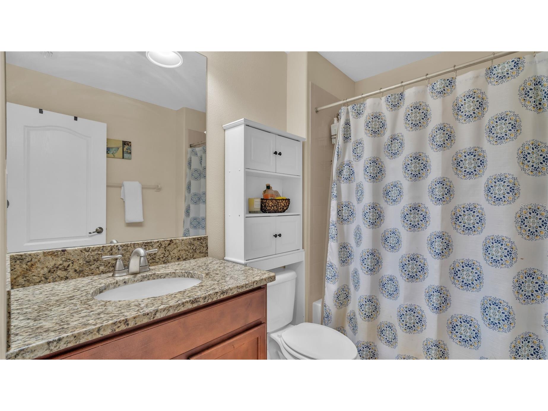 19265 Umberland Place Land O Lakes FL 34638 TB8518019 image26