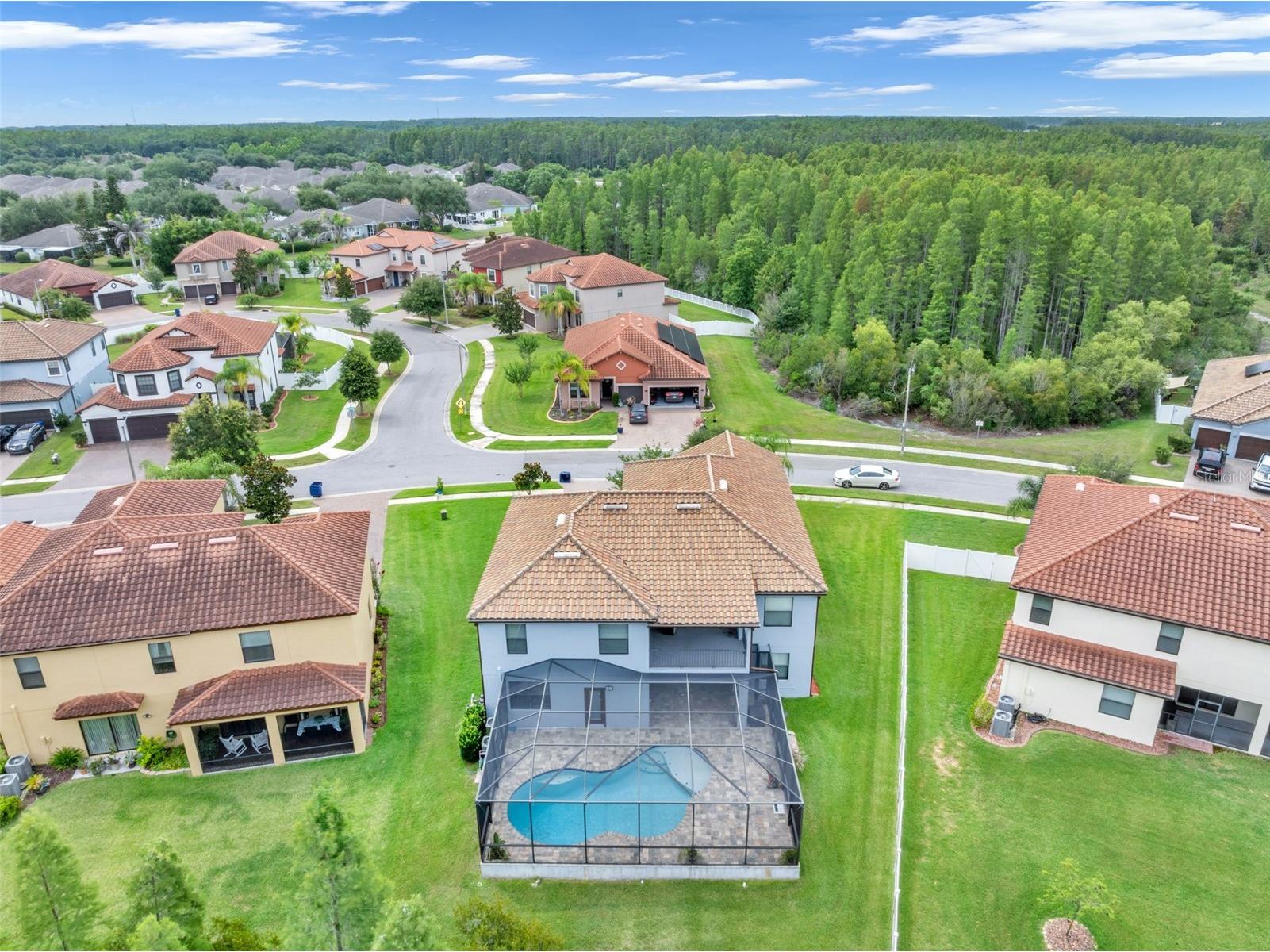 19265 Umberland Place Land O Lakes FL 34638 TB8518019 image47