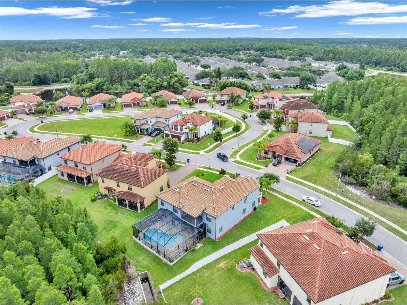 19265 Umberland Place Land O Lakes FL 34638 TB8518019 image49