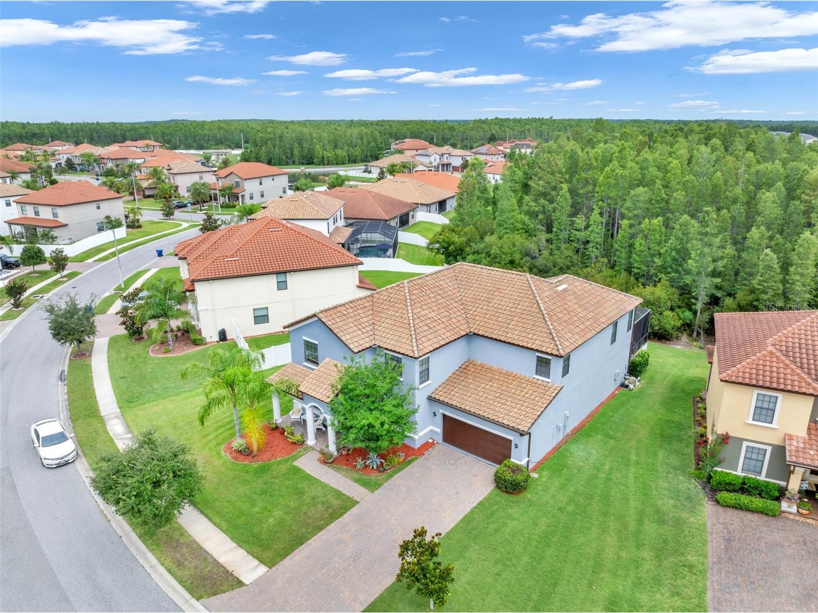 19265 Umberland Place Land O Lakes FL 34638 TB8518019 image5