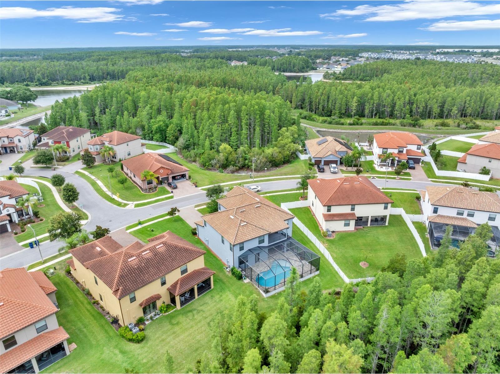 19265 Umberland Place Land O Lakes FL 34638 TB8518019 image50