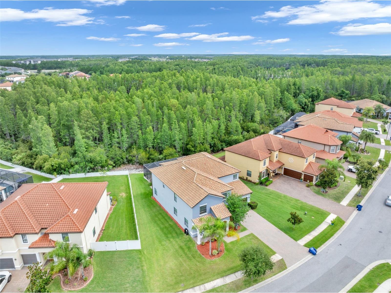 19265 Umberland Place Land O Lakes FL 34638 TB8518019 image51