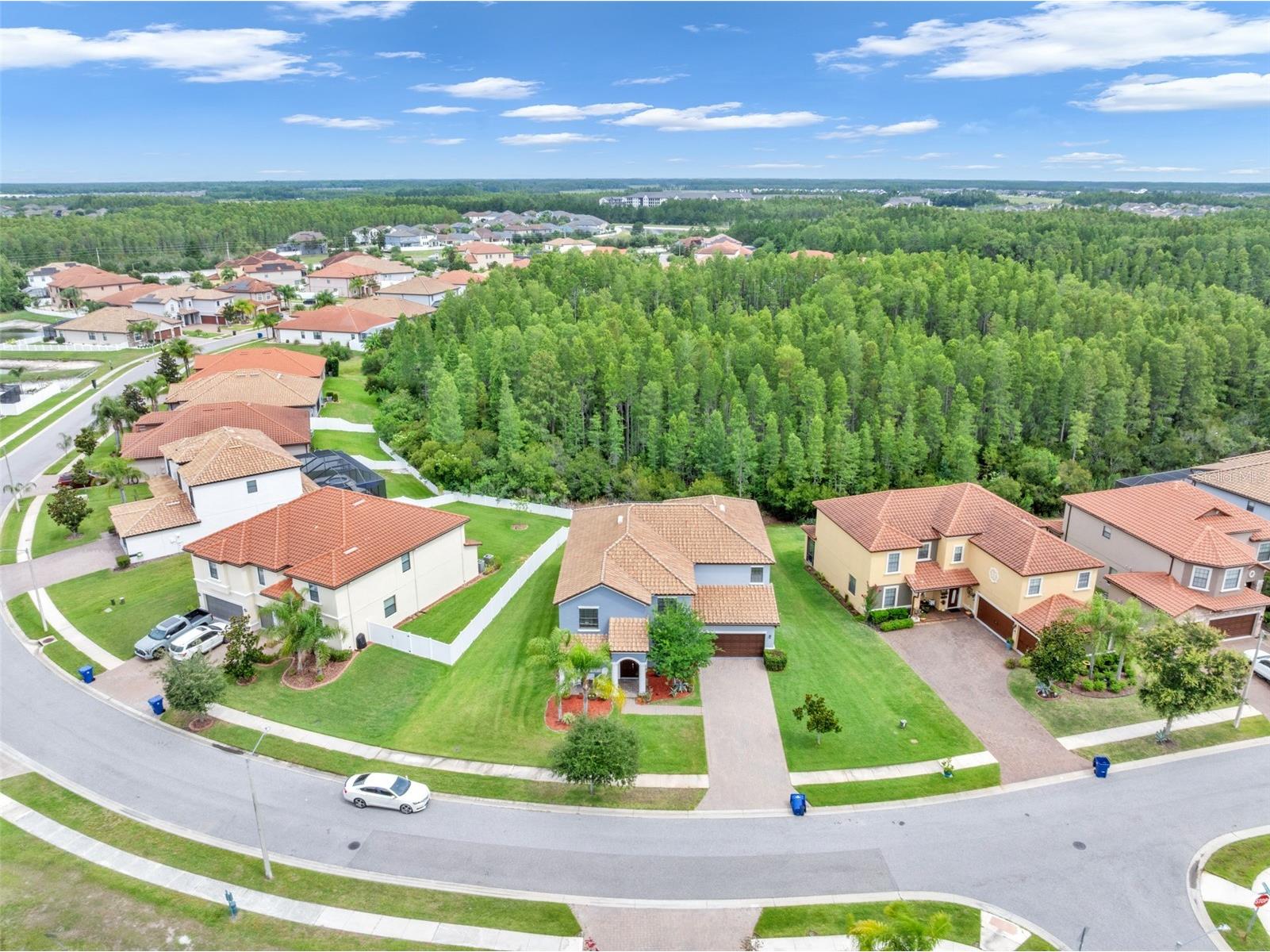 19265 Umberland Place Land O Lakes FL 34638 TB8518019 image52
