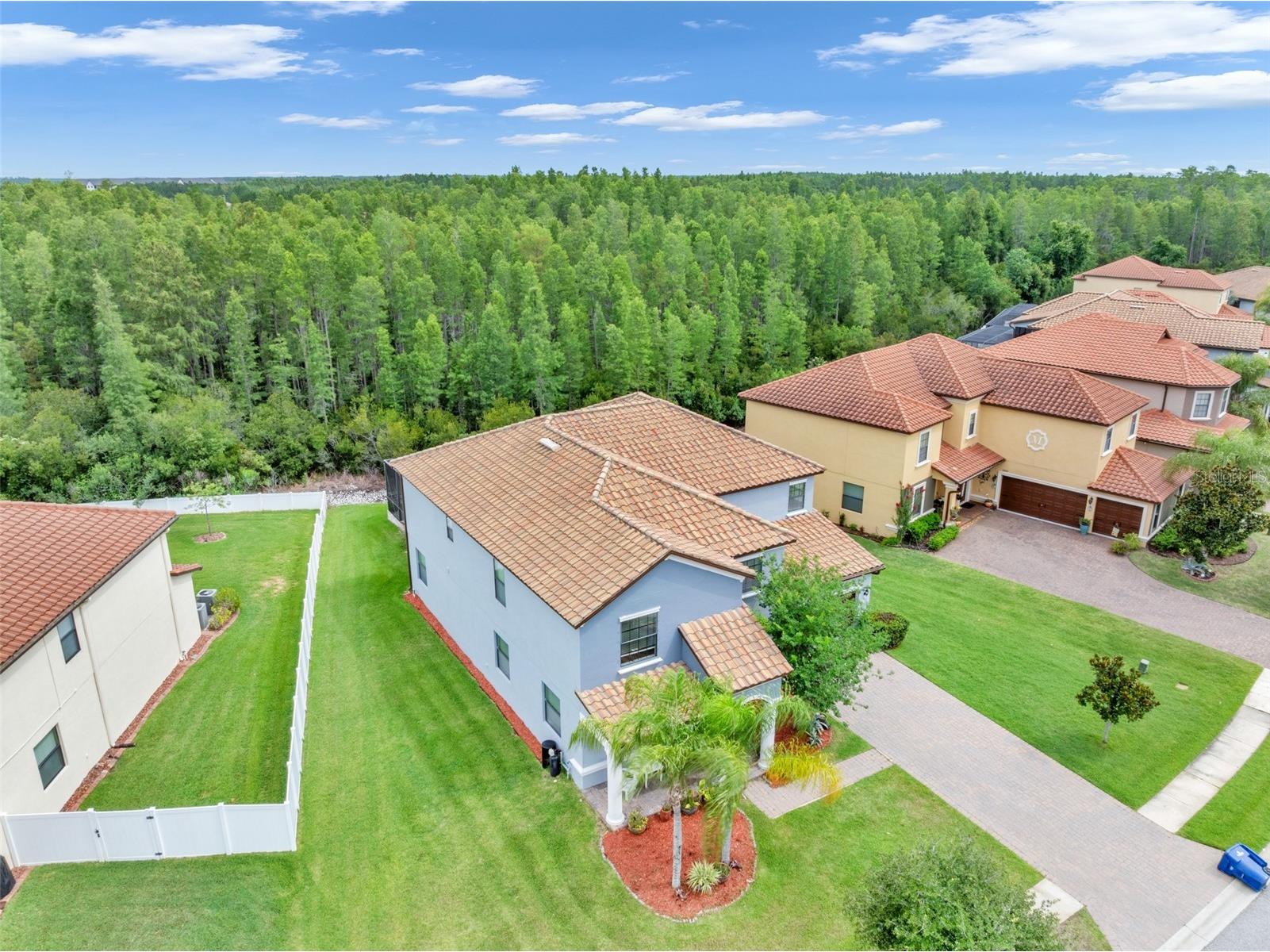 19265 Umberland Place Land O Lakes FL 34638 TB8518019 image53