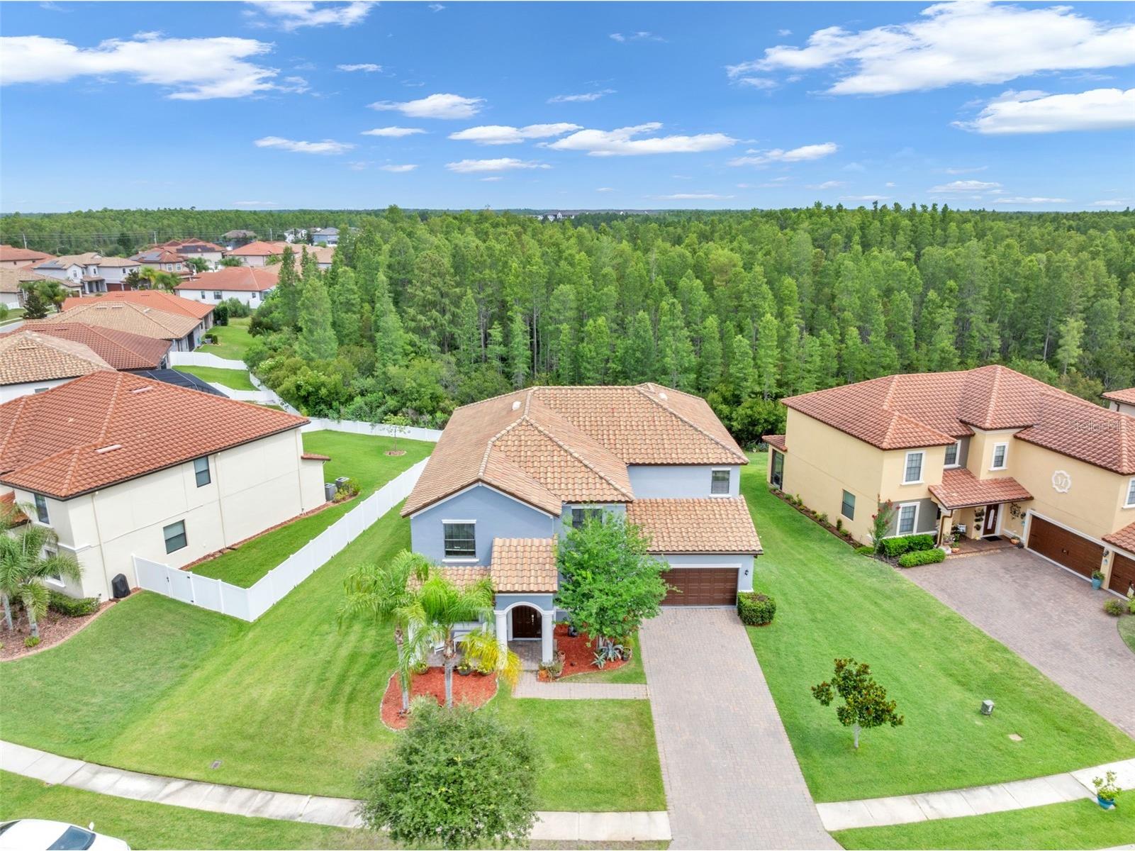 19265 Umberland Place Land O Lakes FL 34638 TB8518019 image54
