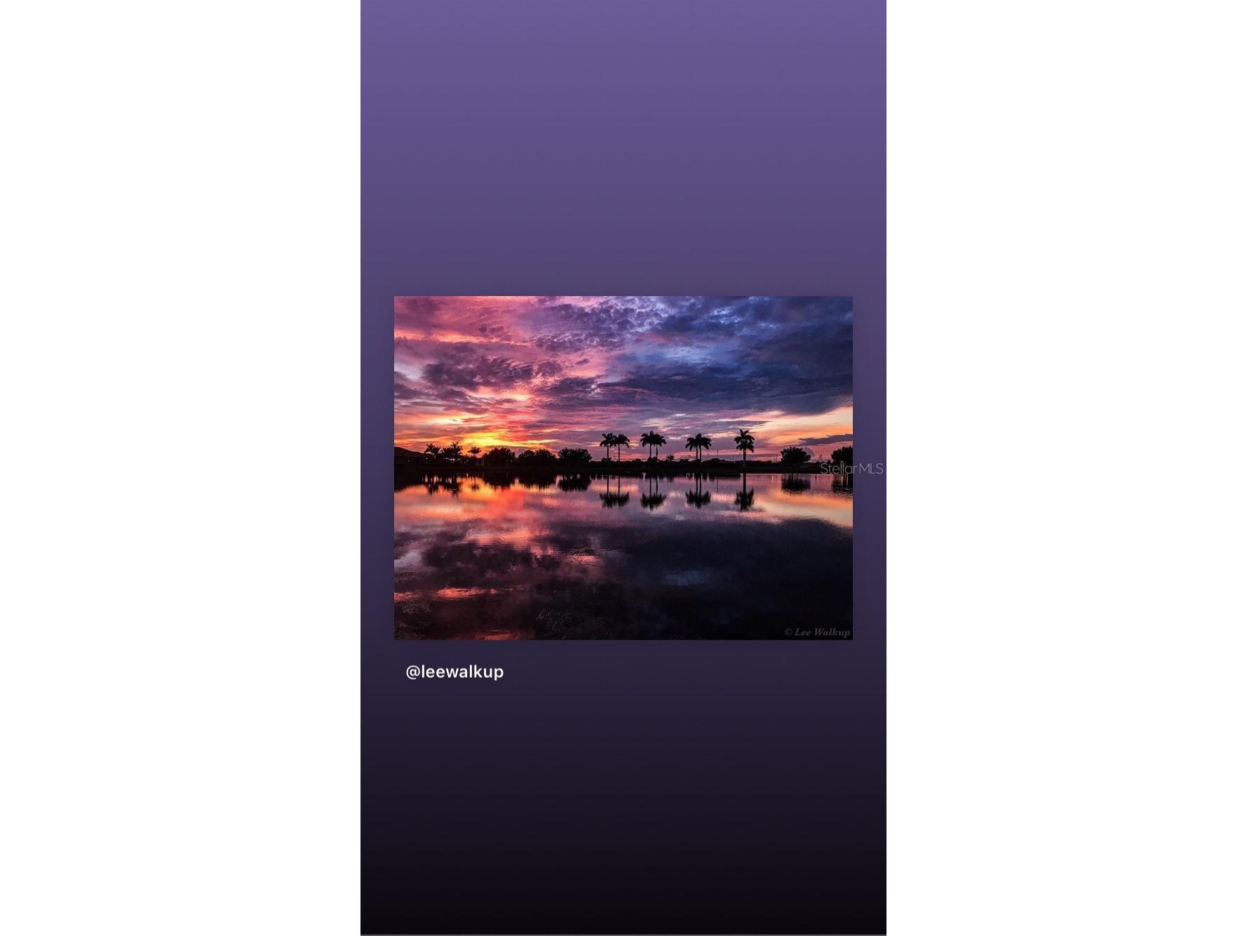 19267 Kirella Street Venice FL 34293 N6142019 image4