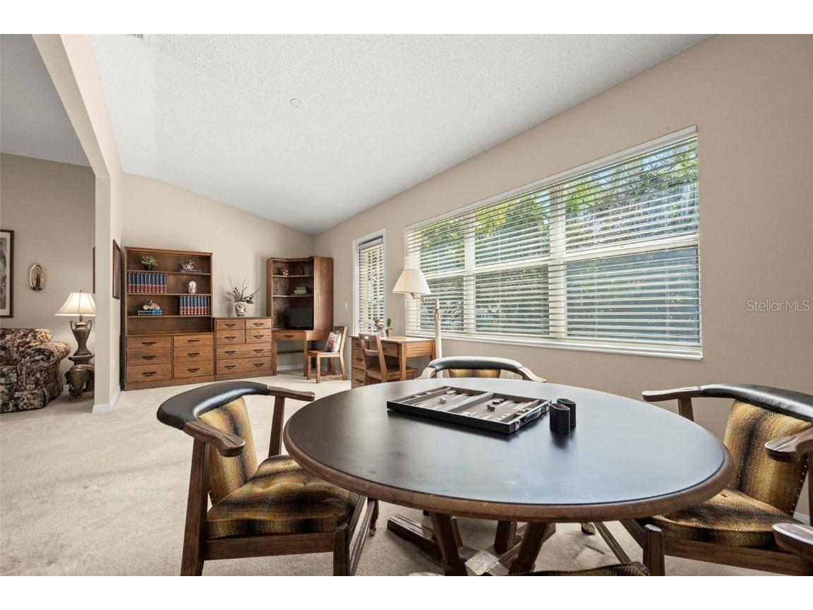 1927 Acadia Greens Drive Sun City Center FL 33573 TB8442407 image23