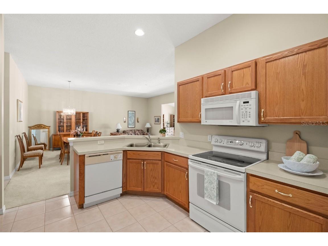 1927 Acadia Greens Drive Sun City Center FL 33573 TB8442407 image26