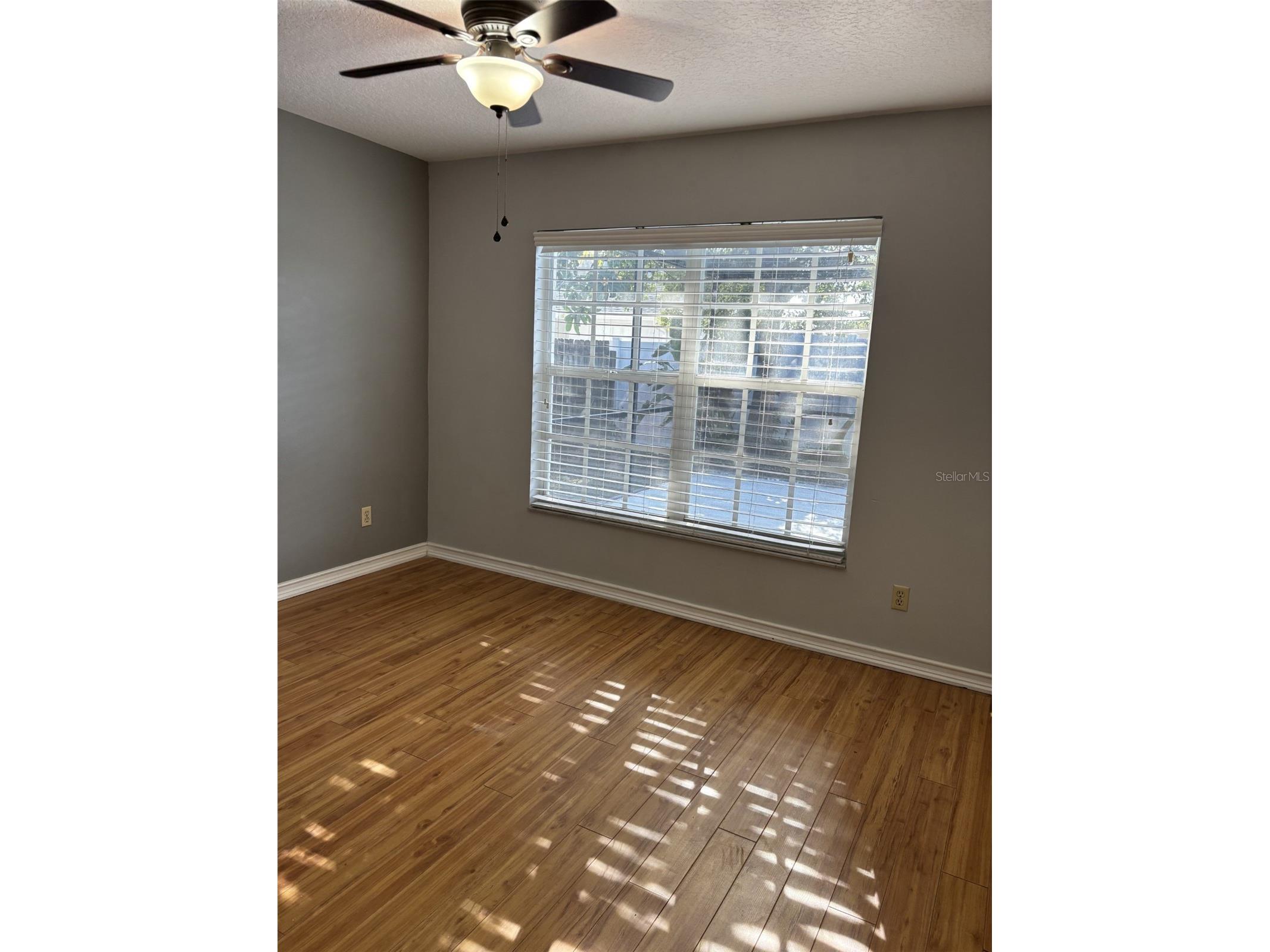 1927 Cheney Court Lutz FL 33549 TB8524263 image15