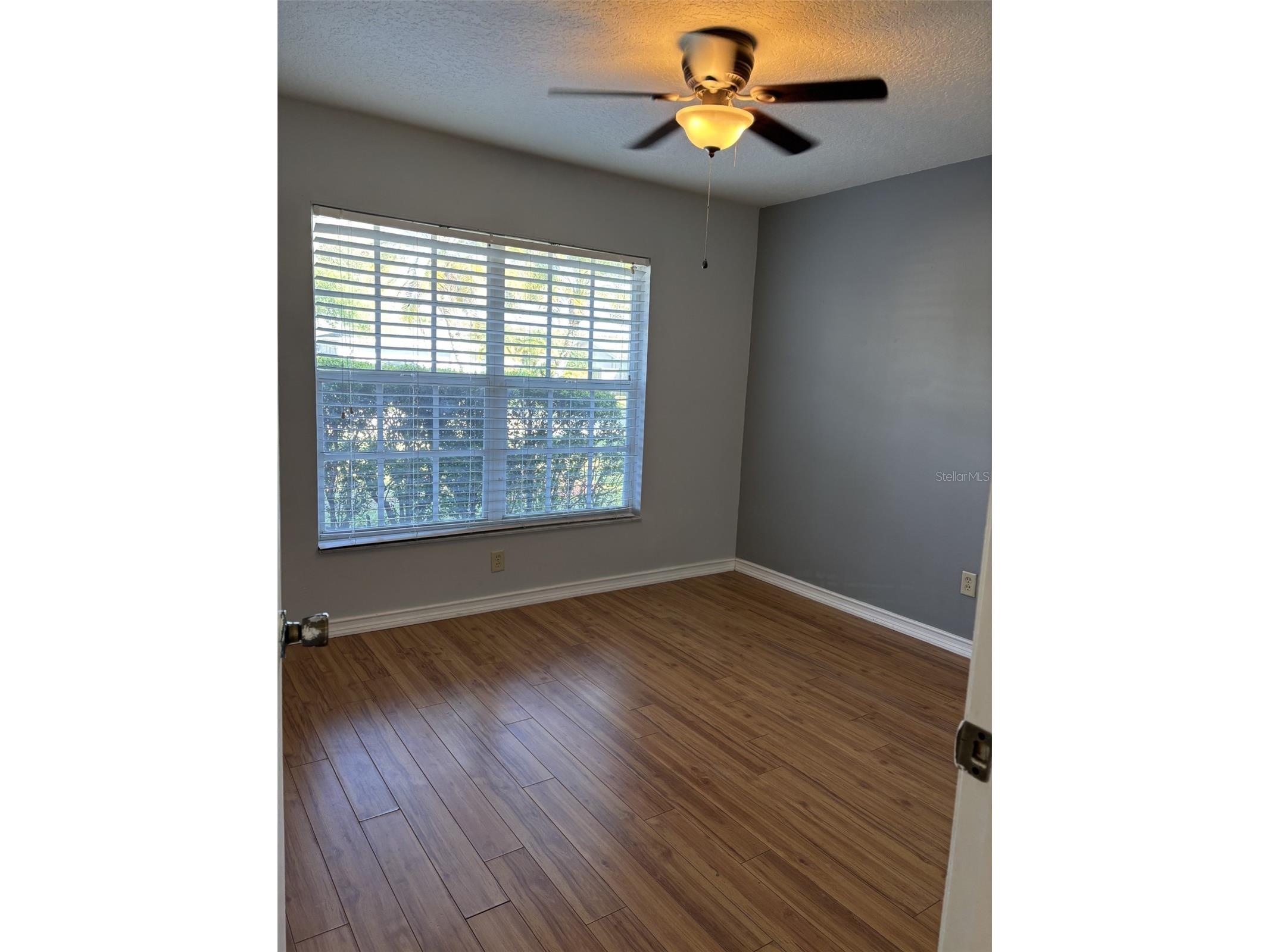 1927 Cheney Court Lutz FL 33549 TB8524263 image16