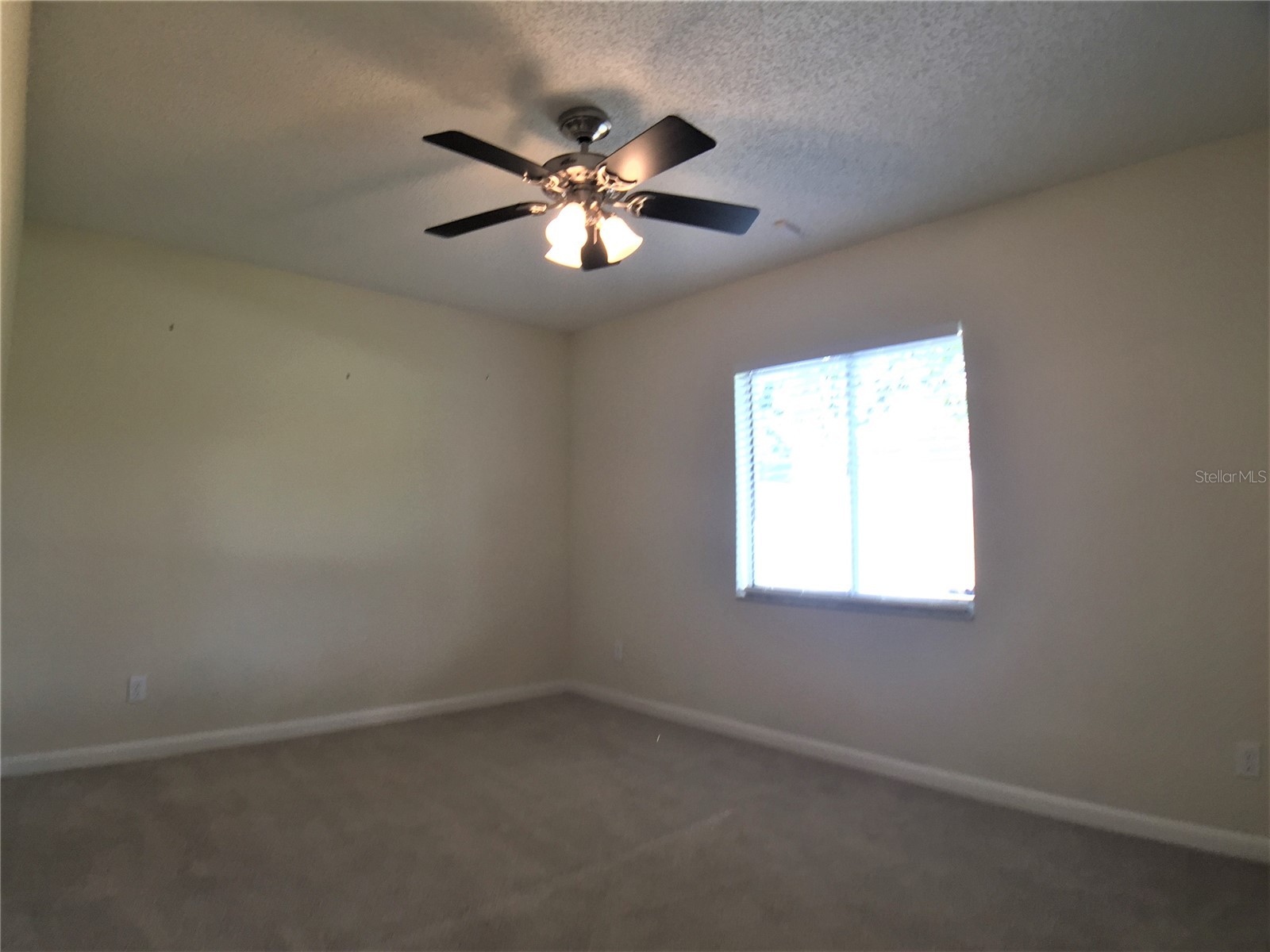1927 E Lake Drive Casselberry FL 32707 O6414039 image17