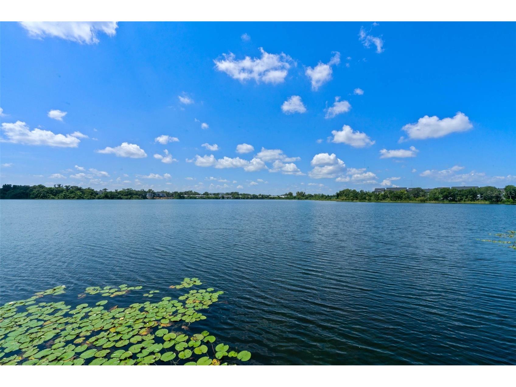 1927 Legacy Cove Drive #1927 Maitland FL 32751 O6409051 image28