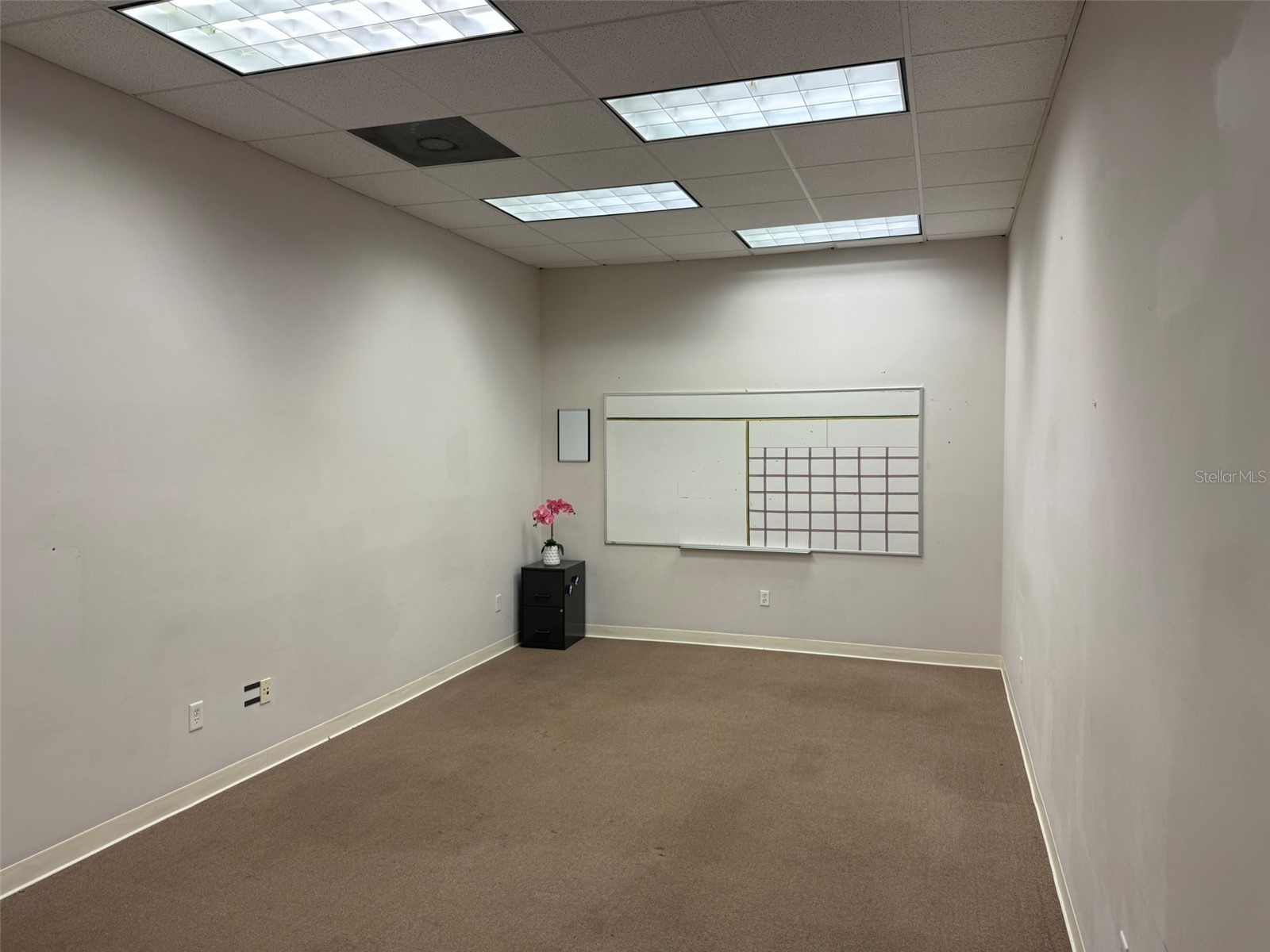 1927 Passero Avenue Lutz FL 33559 TB8484079 image5