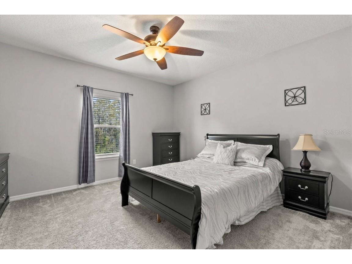 19270 Briarbrook Drive Tampa FL 33647 TB8435257 image36