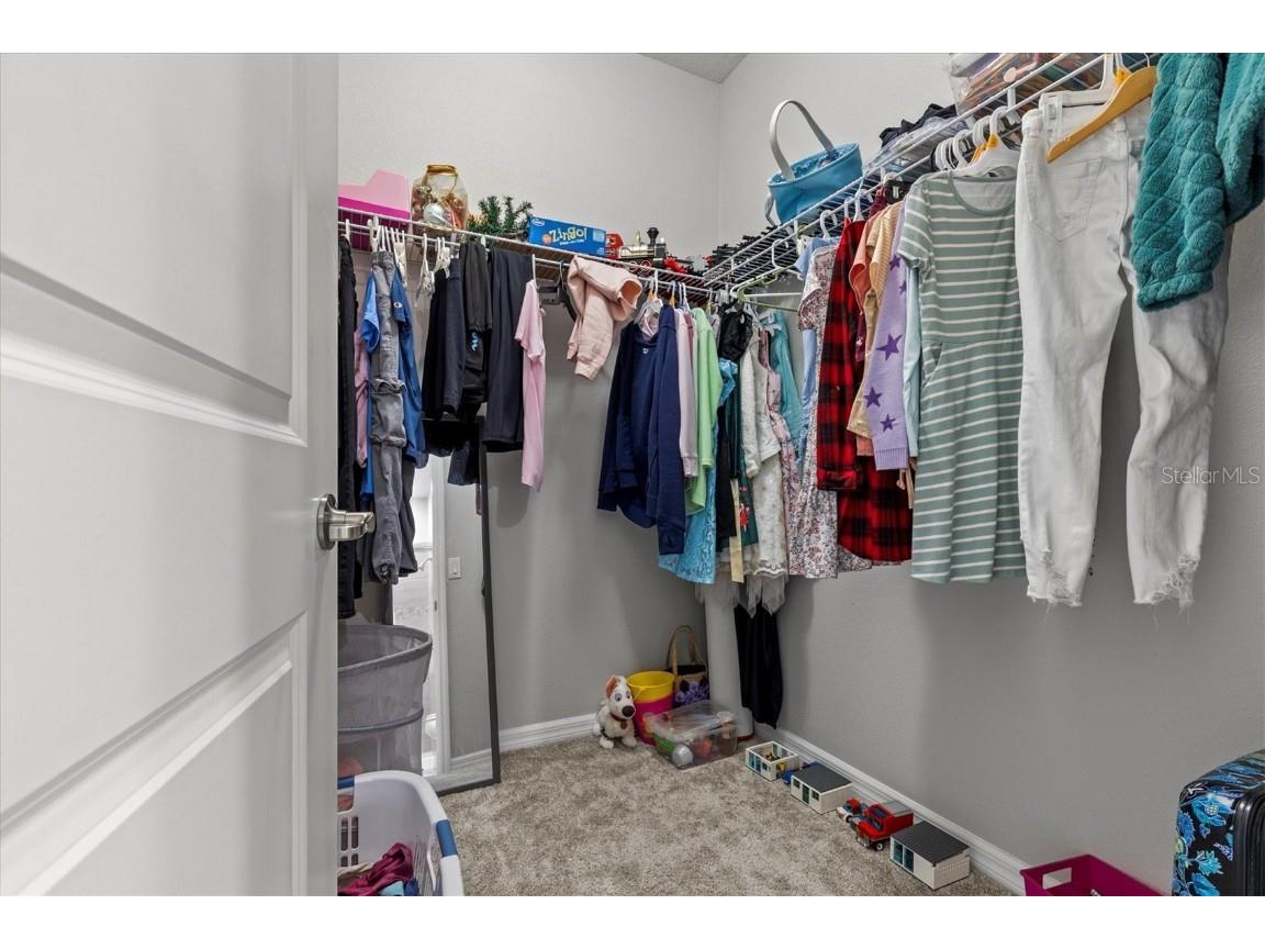 19270 Briarbrook Drive Tampa FL 33647 TB8435257 image54