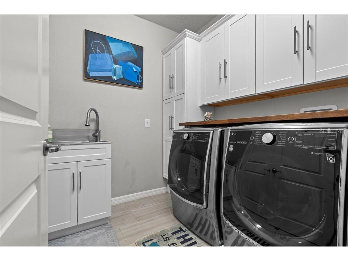 19270 Briarbrook Drive Tampa FL 33647 TB8435257 image56