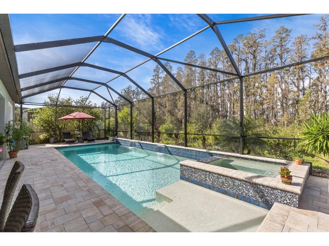 19270 Briarbrook Drive Tampa FL 33647 TB8435257 image58