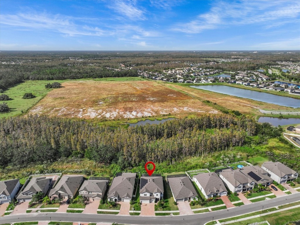 19270 Briarbrook Drive Tampa FL 33647 TB8435257 image66