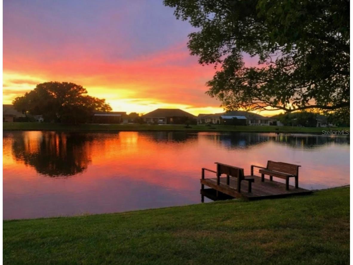 1928 E View Drive Sun City Center FL 33573 TB8444845 image1