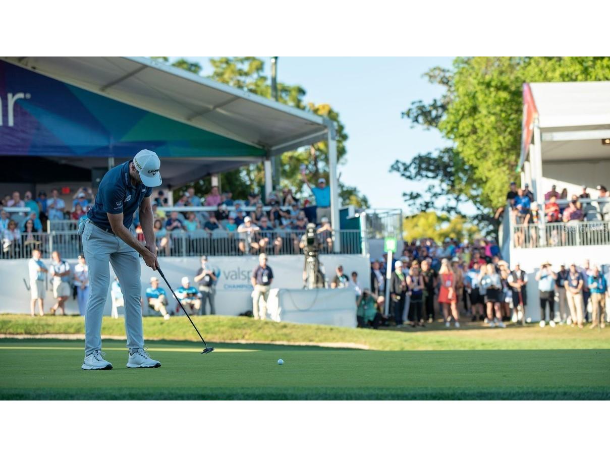 1928 Hillsong Terrace Palm Harbor FL 34684 A4675175 image10