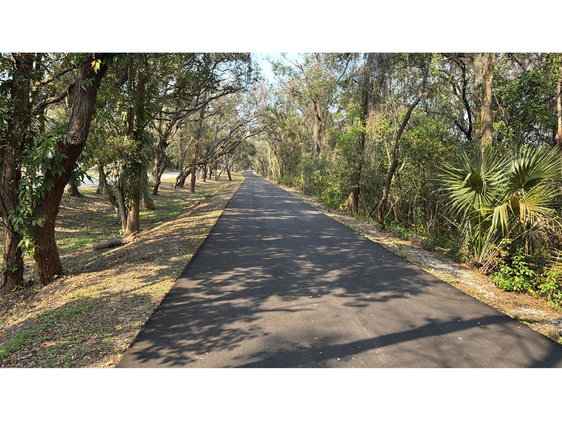 1928 Old Apopka Road Apopka FL 32703 P4933730 image11